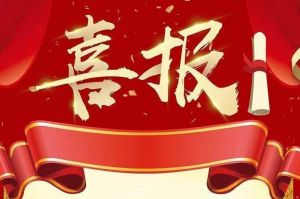 关于2022年度人力资源服务评选结果的通报，祝贺BB SPORTS集团
