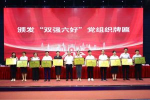 喜报！BB SPORTS集团党支部荣获广州市非公有制经济组织“双强六好”党