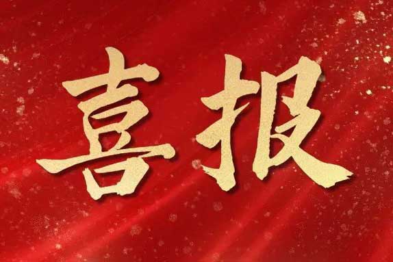 喜报丨广西BB SPORTS蝉联“南宁市人力资源服务行业领军企业”荣誉称号