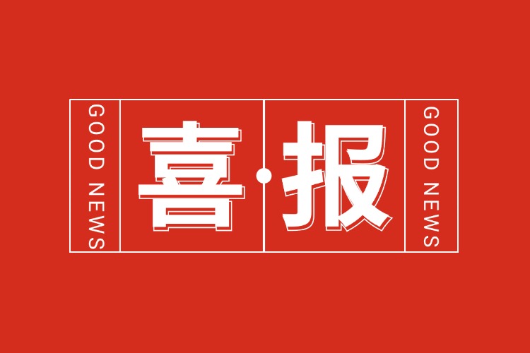 年关将至，喜报连连 | BB SPORTS集团再添多项荣誉