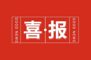 喜报！BB SPORTS集团党支部书记、总裁陈文舒荣登“2024人力资源服